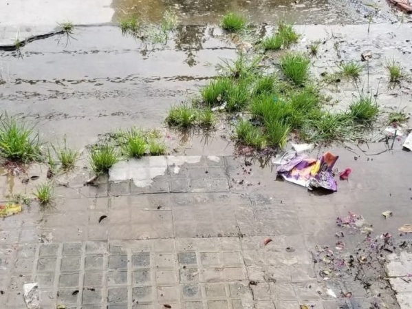 Una pérdida llenó de agua una vereda en La Plata y los vecinos piden una solución