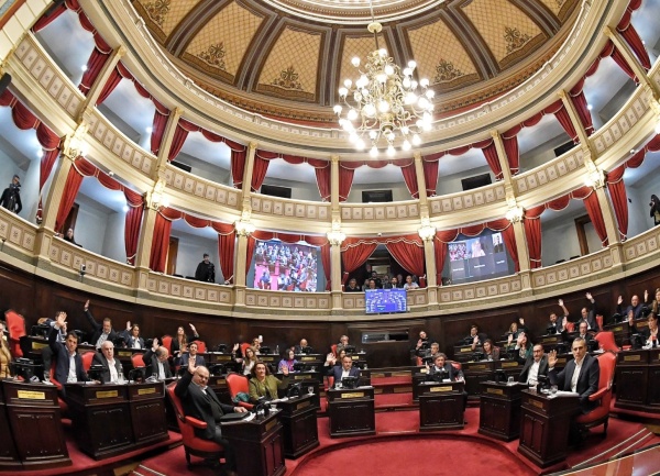 Enojo y sorpresa en el Senado Bonaerense porque no dejaron pasar a los periodistas al palco de prensa