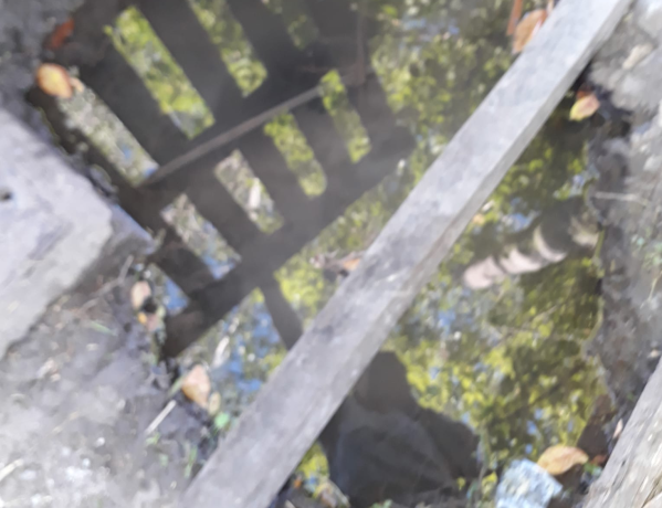 En 57 y 150 se hartaron de una pérdida de agua en la vereda que ya lleva 8 meses