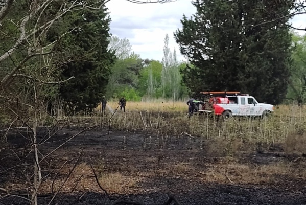 Vecinos denunciaron un incendio en Berisso: dos dotaciones de bomberos asistieron al lugar