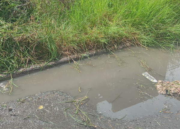 En 151 y 67 reclamaron por una pérdida de agua y los pastos altos