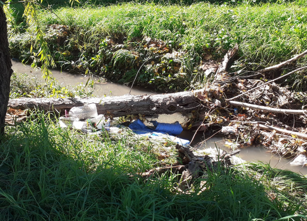 En Los Hornos reclamaron por un zanjón cada vez más obstaculizado: "No nos llevan el apunte"