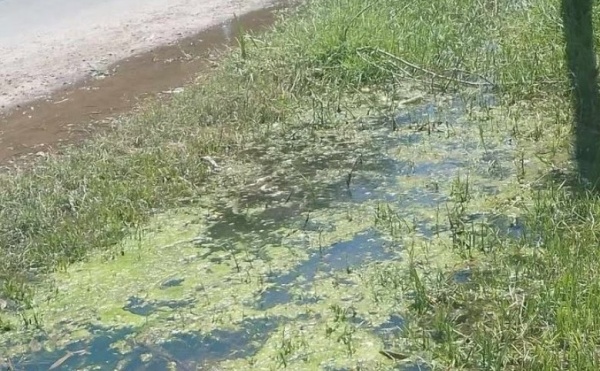 En 3 y 90 pidieron una solución urgente por un caño roto que ya generó un gran charco