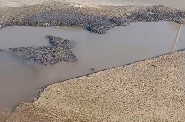 Un pozo y una pérdida de agua tienen a maltraer a los vecinos que esperan el micro en 66 y 161