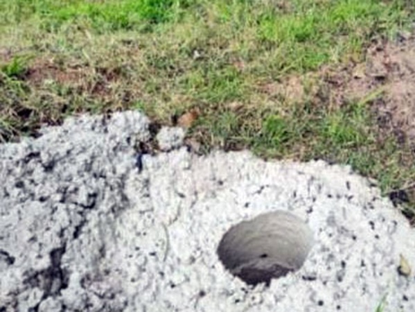 Hallaron una beba muerta dentro de una bolsa de basura: había nacido con vida