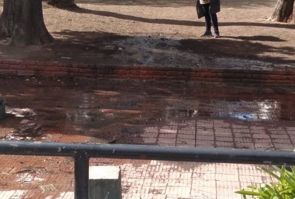 Vecinos se quejaron por una importante pérdida de agua en Plaza San Martín que ya lleva más de dos semanas