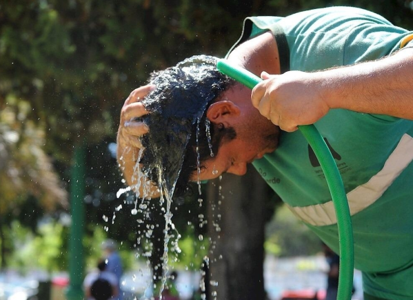 Las 6 recomendaciones que brindó el municipio de La Plata para prevenir los golpes de calor