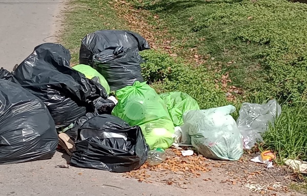 Vecinos de Los Hornos reclaman que necesitan un conteiner de basura en la calle 149 y 70