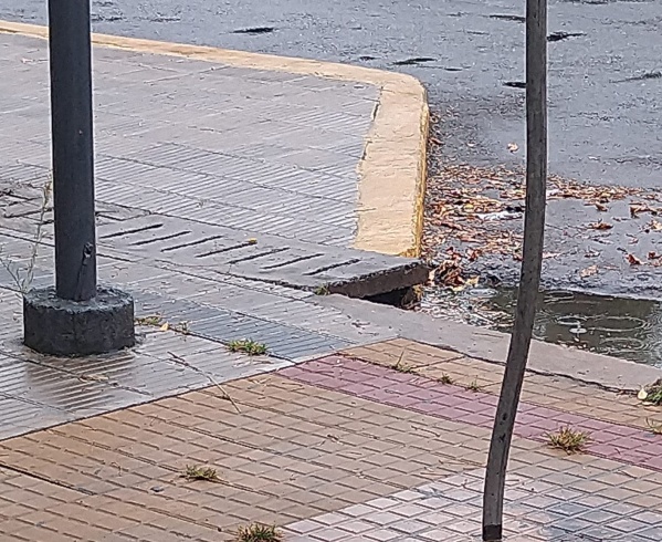 En Los Hornos reclamaron por la recolección de hojas ante las lluvias