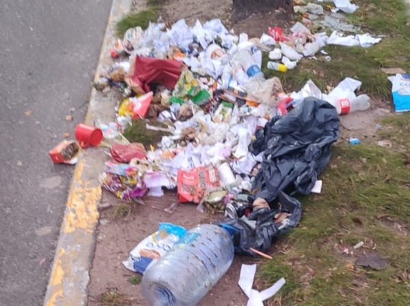 Vecinos de Villa Elvira reclaman por la limpieza de las veredas