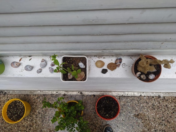 Se fue al sur, junt&oacute; piedritas para decorar su casa en La Plata y meses despu&eacute;s su concubina descubri&oacute; una asquerosidad