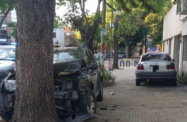 Dos sujetos ingresaron a robar en una casa de La Plata, se llevaron un auto y lo estrellaron a las pocas cuadras