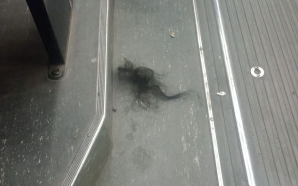 Una mujer agarró de los pelos a otra en un colectivo de La Plata y testigos aseguraron que "la dejó pelada"