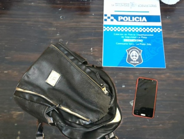 Rob&oacute; una cartera, intent&oacute; hu&iacute;r y lo detuvieron en el centro platense