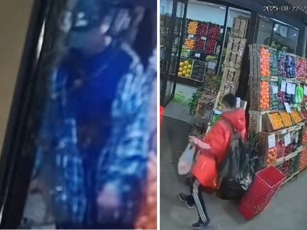 Buscan a un delincuente que le robó la herramienta de trabajo a un joven de La Plata