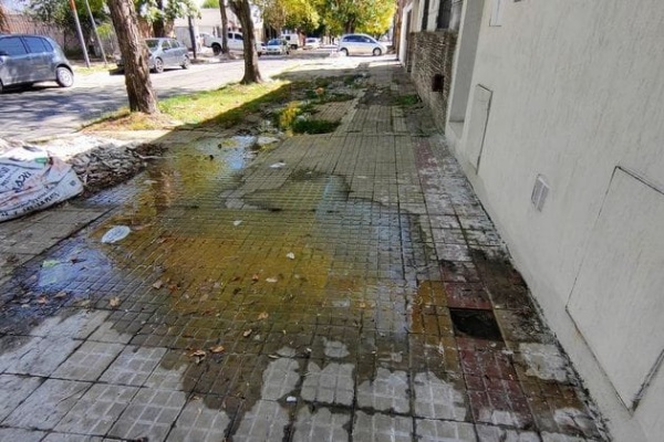 En la calle 22 y 66 los vecinos exigen que se repare una pérdida de agua porque "lleva varios meses así"