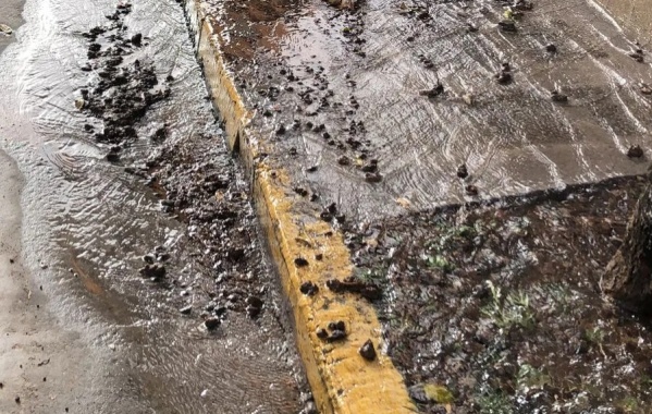 Vecinos de Los Hornos reclaman por un caño roto que no deja de perder agua: “Estamos cansados”