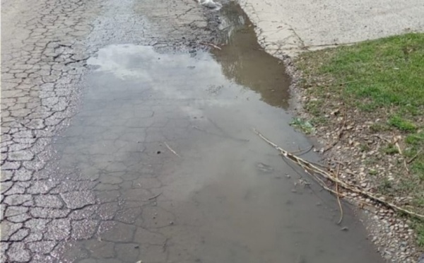En Los Hornos reclaman por los baches que se generan en el asfalto impidiendo la normal circulación de vehículos