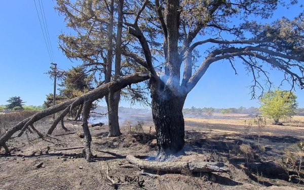 Los Hornos no escapa a la larga lista de incendios de pastizales en la ciudad