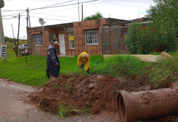 Cayeron 198 milímetros de agua en La Plata y no hay evacuados: redoblan esfuerzos en sectores de Los Hornos y Melchor Romero