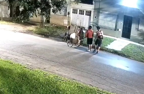 Ni los arbolitos se salvan: un particular robo sorprendió a los vecinos de Los Hornos y quedó registrado en una cámara