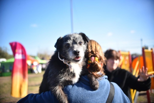 Se realizará una jornada para vacunar contra la rabia y desparasitar a las mascotas en diferentes barrios de La Plata