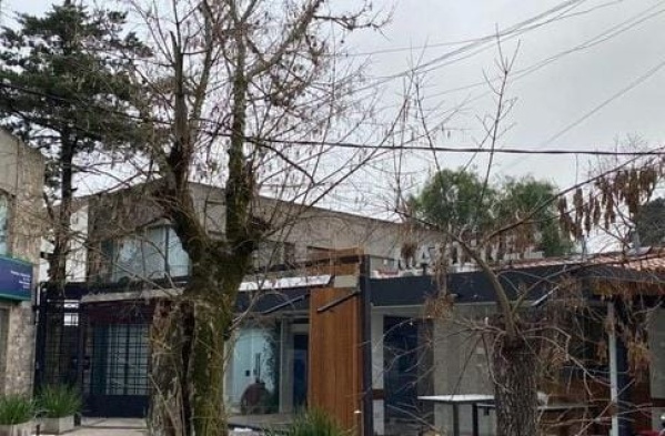 En City Bell reclaman por las condiciones de un árbol que está "apoyado en los cables"