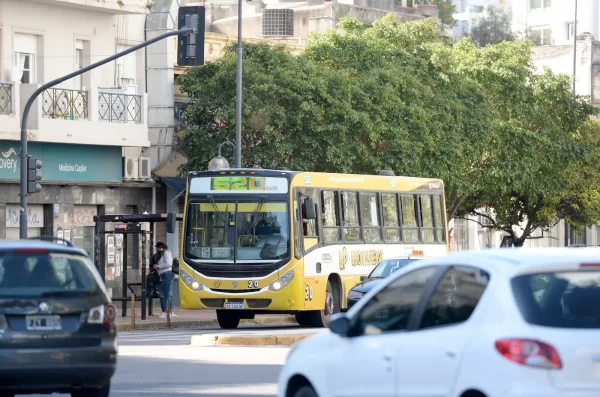 Feriados de Carnaval en La Plata: así funcionarán el transporte y otros servicios municipales durante el lunes y el martes