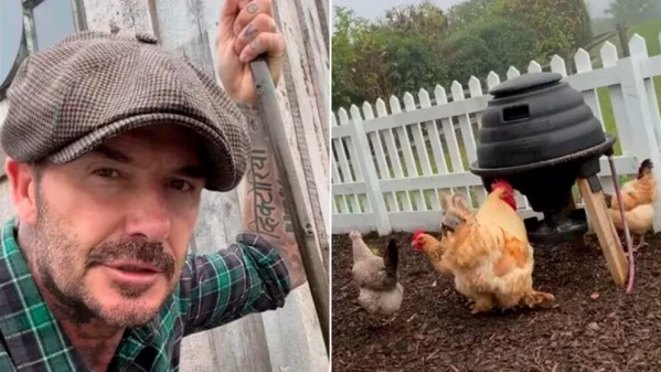 David Beckham mostró cómo es un día en su granja y Victoria le dejó un comentario cargado de humor