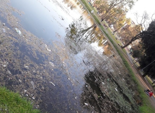 Vecinos pidieron la limpieza del lago del Parque Saavedra por la presencia de botellas y bolsas