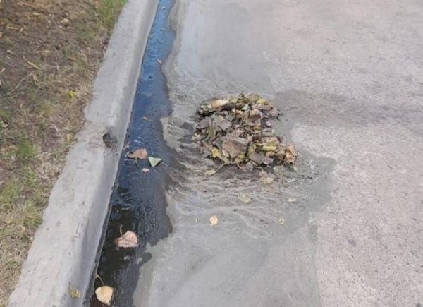 En Tolosa piden que se limpien las calles porque se ve como se "incrementa el verdín y la mugre en los cordones"