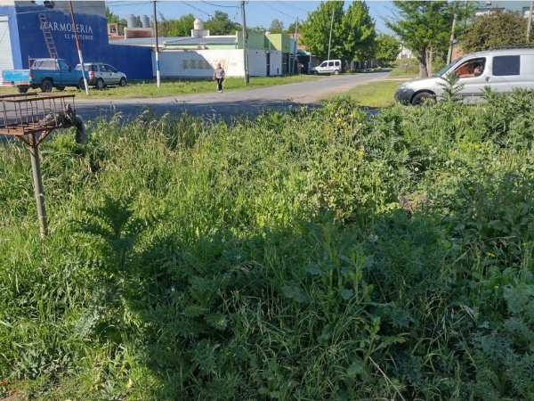 En una esquina de Los Hornos se quejaron por pastizales y la mala colocación de un canasto