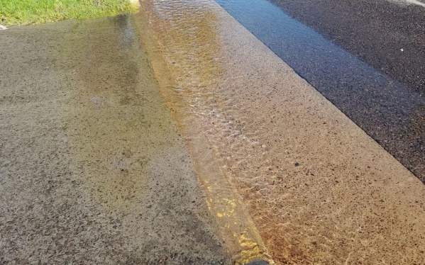 Malestar en los vecinos de La Plata: Ya es "hermoso" el rio que tengo en la puerta