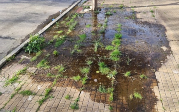 En la zona de 31 y 46 reclaman por un caño roto que lleva meses desperdiciando agua