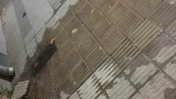 En 11 y 41 piden que se repare una fuga de agua por la cual "corren peligro los abuelos de caerse"