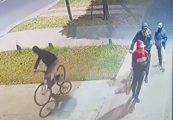 Una "bandita" de Los Hornos en plena acción: trataron de romper un comercio y quedaron grabados