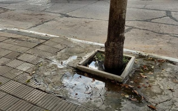 En la zona de Plaza Güemes piden que se repare una pérdida de agua que "no para ni de día ni de noche"