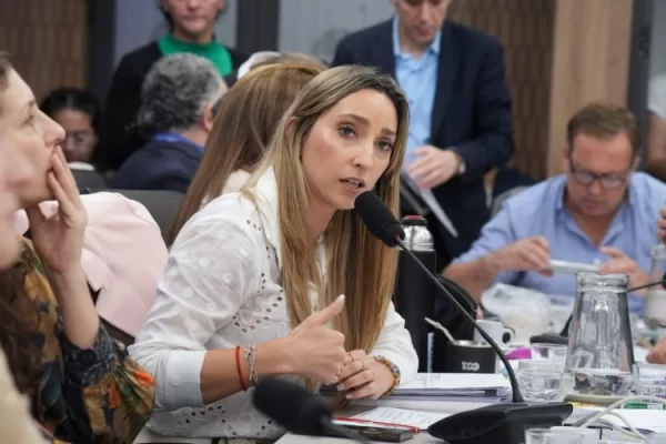 Una diputada opositora habló del anuncio del Presupuesto 2026 y advirtió sobre una "estrategia de simulacro"