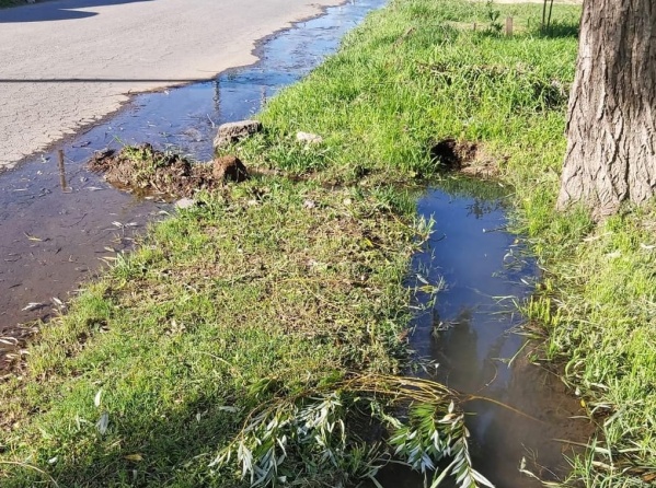 Vecinos reclamaron la limpieza y zanjeó en una cuadra de Villa Elvira y aseguran que se ven reptiles