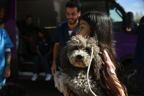 Se colocará la vacuna antirrábica de forma gratuita para perros y gatos de distintos barrios de La Plata