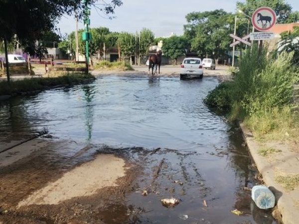 "Si te moves en bici, no podes pasar por el agua": en Barrio Hipódromo reclaman por mejoras de pozos en calles y veredas