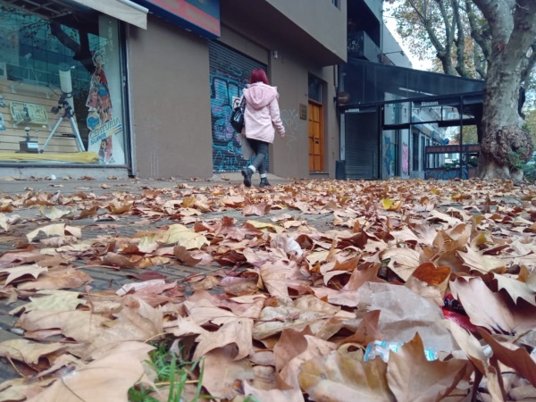 Alcantarillas tapadas por hojas en 5 y 46: los vecinos alertaron que el problema se replica también sobre Diagonal 74