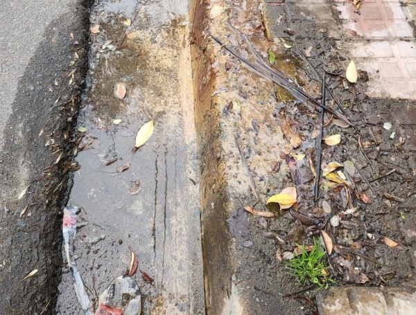 Vecinos de 15 y 68 ya realizaron 16 reclamos por una pérdida de agua sin solución