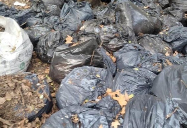 Vecinos de Parque Saavedra reclaman por las bolsas de basura que "no paran de acumularse"
