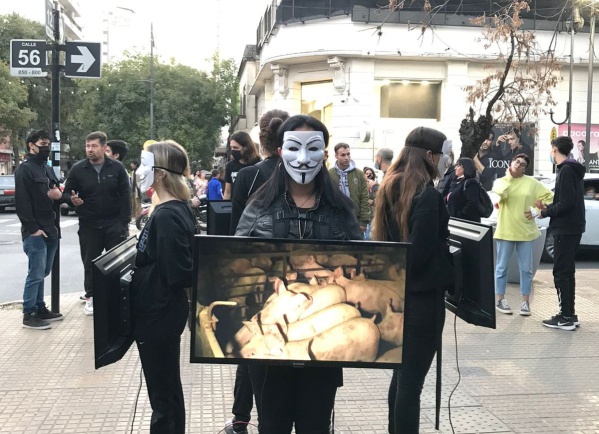 El avance del movimiento vegano en La Plata: "Mostramos el infierno de esclavitud y muerte que padecen los animales"