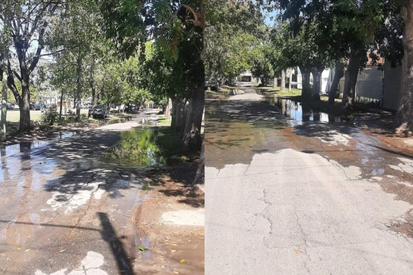En Los Hornos reclaman por la pérdida de agua que brota por la vereda y la calle "afectando a la totalidad de los vecinos"