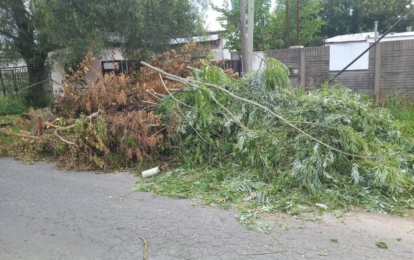 En 65 y 150 pidieron que retiren una montaña de ramas: "Está lleno de mosquitos"