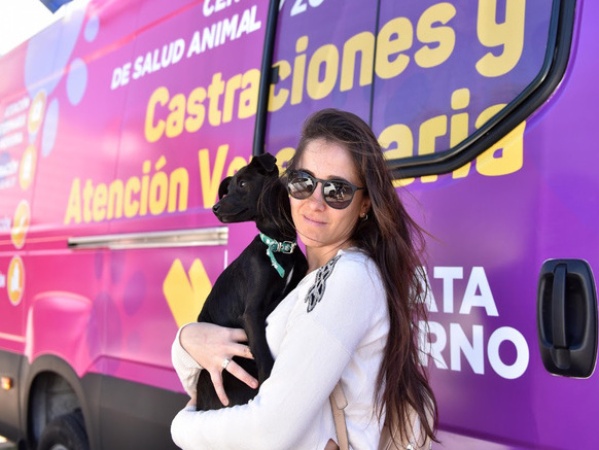 Ya se podrá darle la vacuna antirrábica a los perros y gatos en La Plata