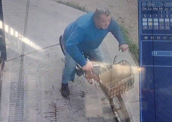 Abandonó a un grupo de gatitos, quedó filmado y lo escracharon: "¿Por qué hay tanta maldad?"