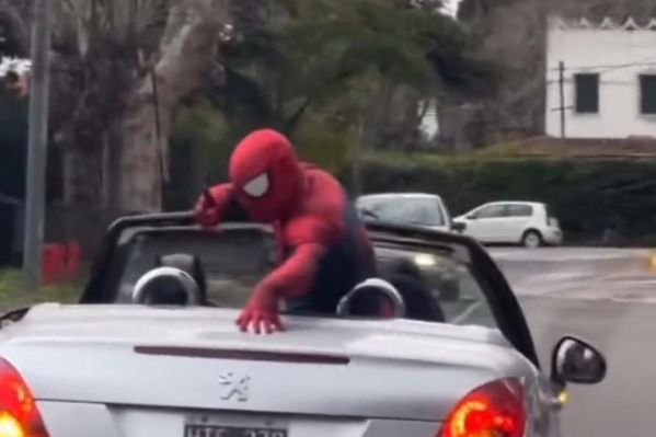 El "Spider-Man butaquero" sí existe: una platense filmó el inusual momento de un superhéroe en las calles de la ciudad